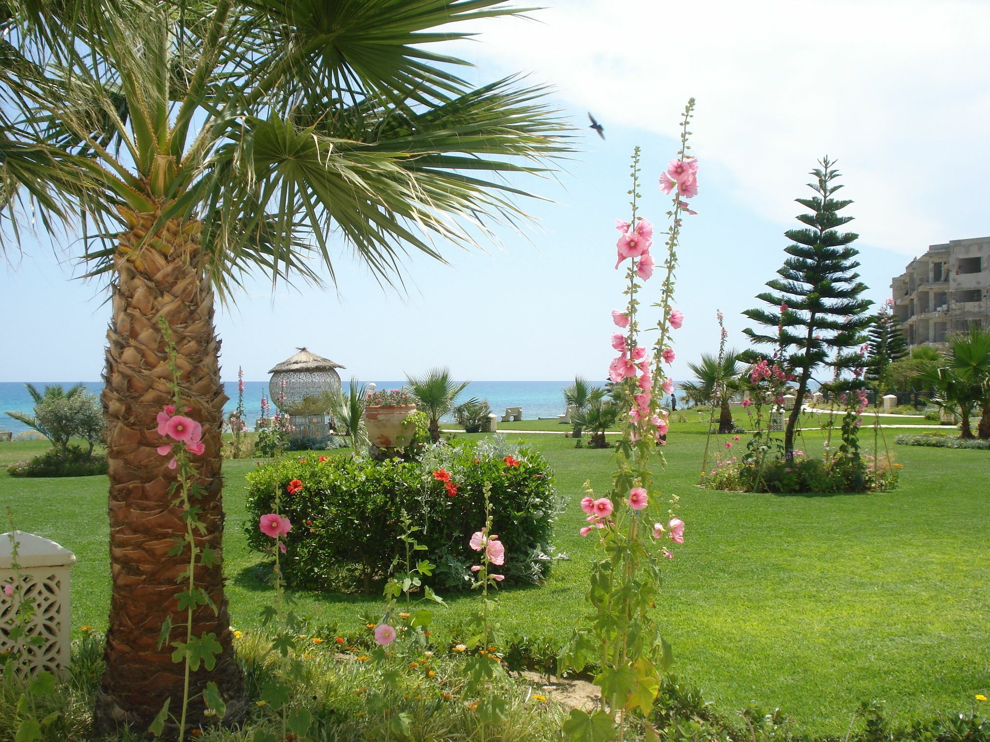 B&B Cote D'Azur Hammamet Exterior foto